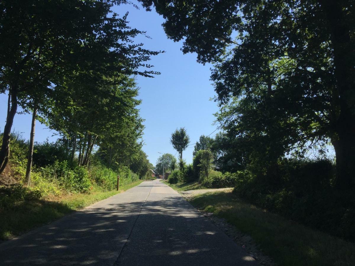 Vakantiehuis In Vlaamse Ardennen Zottegem エクステリア 写真